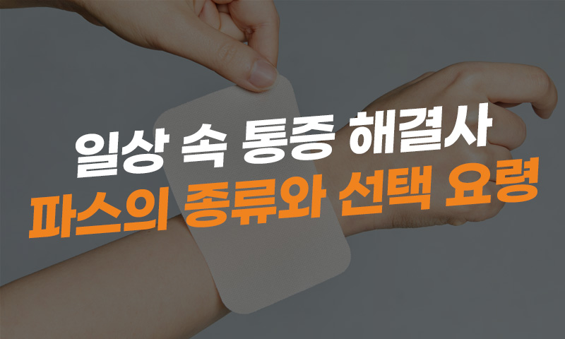250319_파스